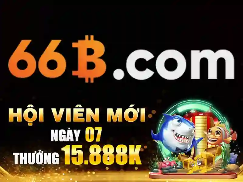 Hỗ trợ 66B