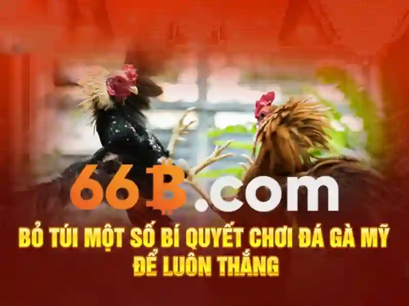 Quy trình xác thực