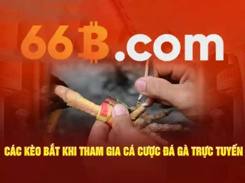 Giải Pháp Khắc Phục Quên Mật Khẩu 66B Hiệu Quả Cho Người Chơi Slot
