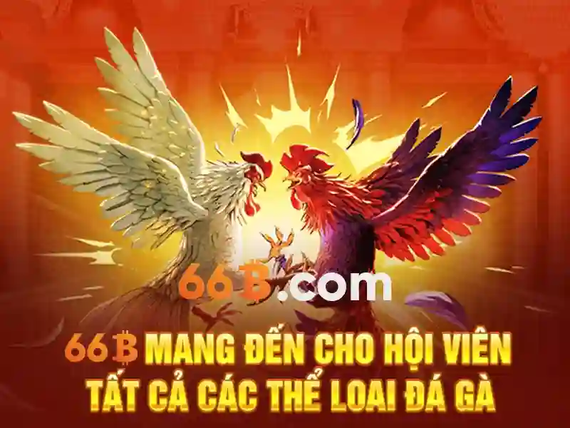 Ưu Điểm Của 66B
