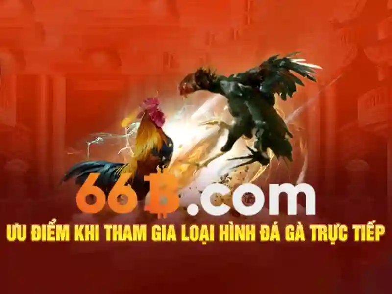 rút thưởng 66b