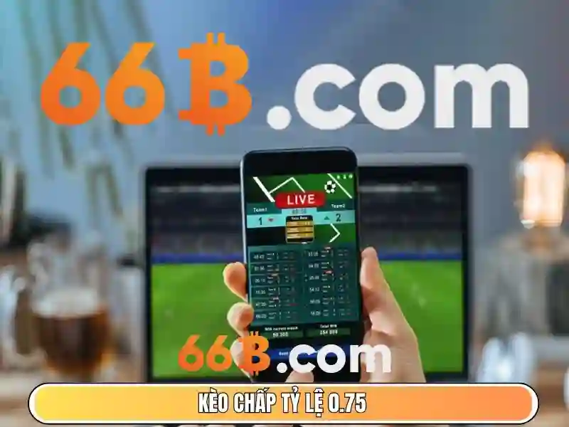 Tài Khoản 66B