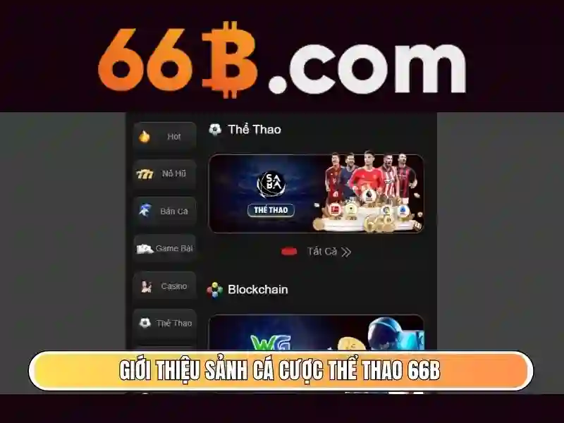 Hỗ trợ 66B – Trải nghiệm Slot đỉnh cao, Chính sách hỗ trợ 66B 2026