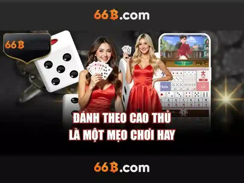 Giới Thiệu Về 66B