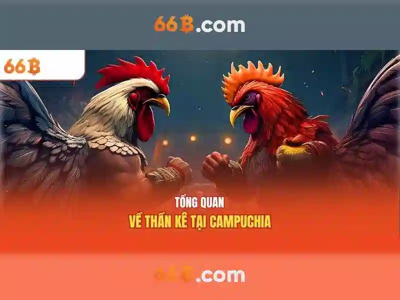 Trải nghiệm Slot 66B