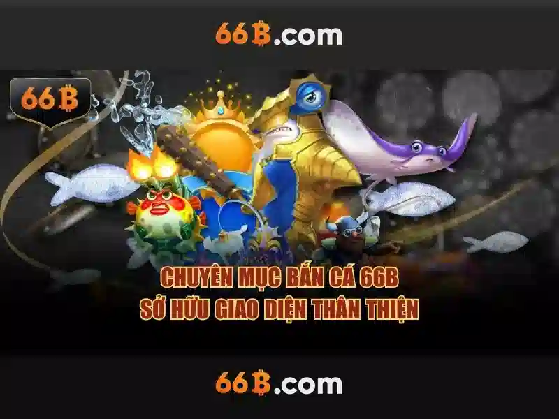 Hỗ trợ 66B