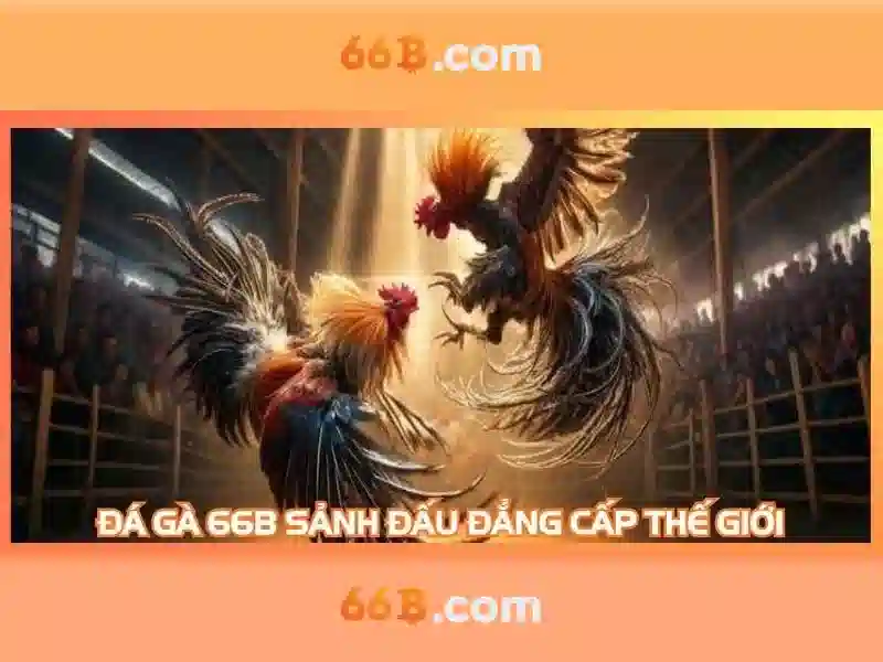 Cài đặt ứng dụng slot