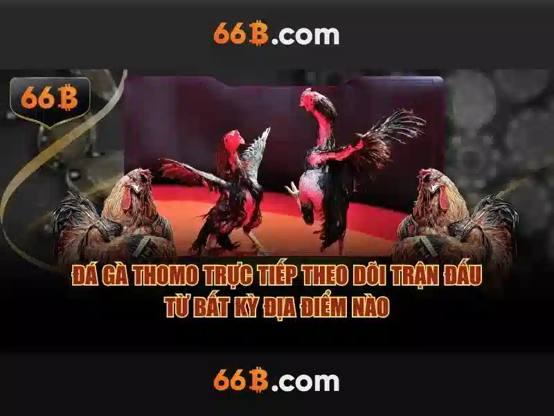 Lý Do Chọn 66B