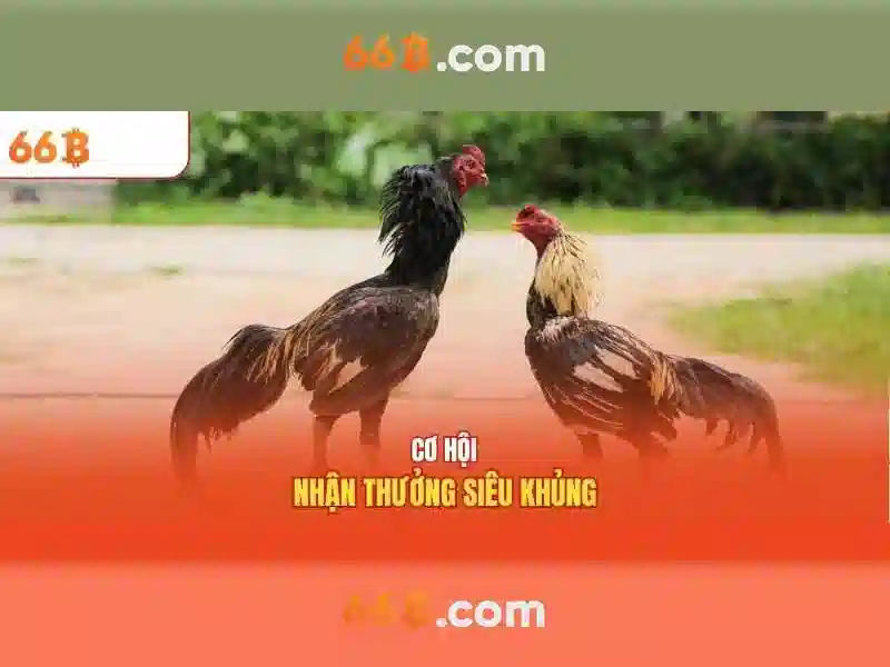 Ưu Điểm Nổi Bật Của Cá Cược Slot 66B