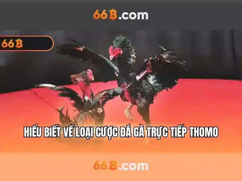 Trải Nghiệm SLOT 66B