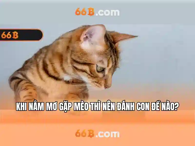 Ưu đãi 66B mới 2026