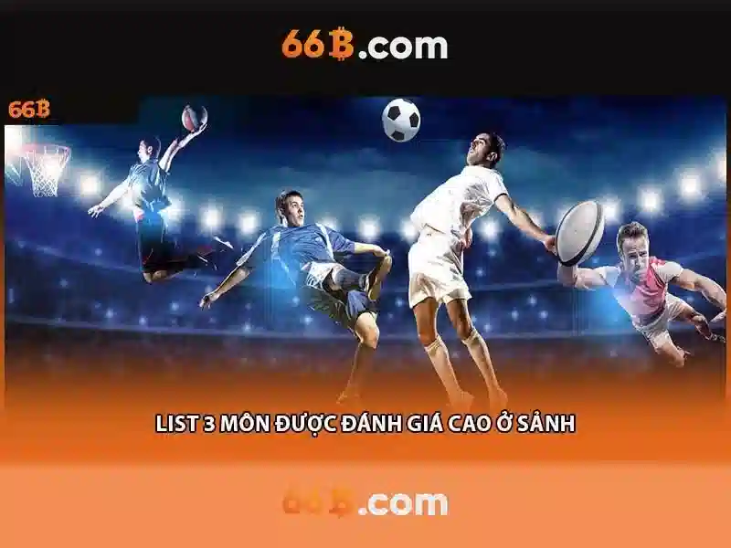 Đánh Giá 66B
