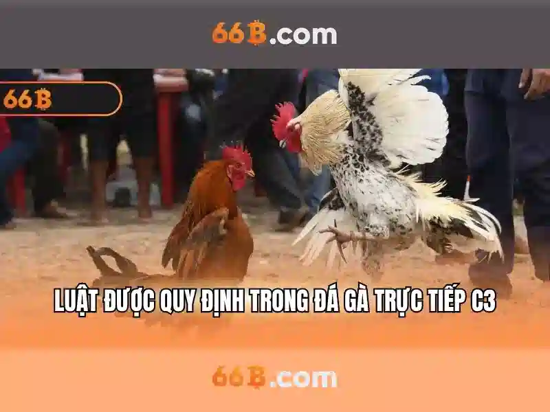 Giới Thiệu Về 66B Download