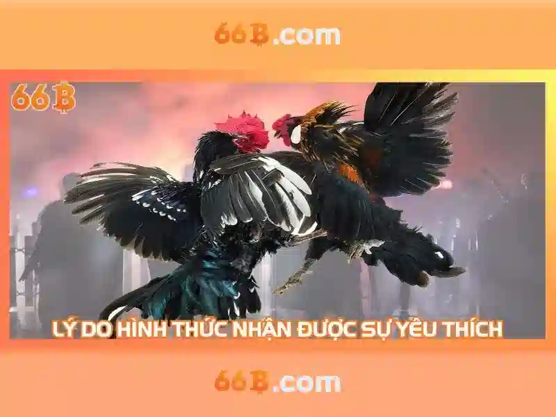 Lý Do Chọn 66B App