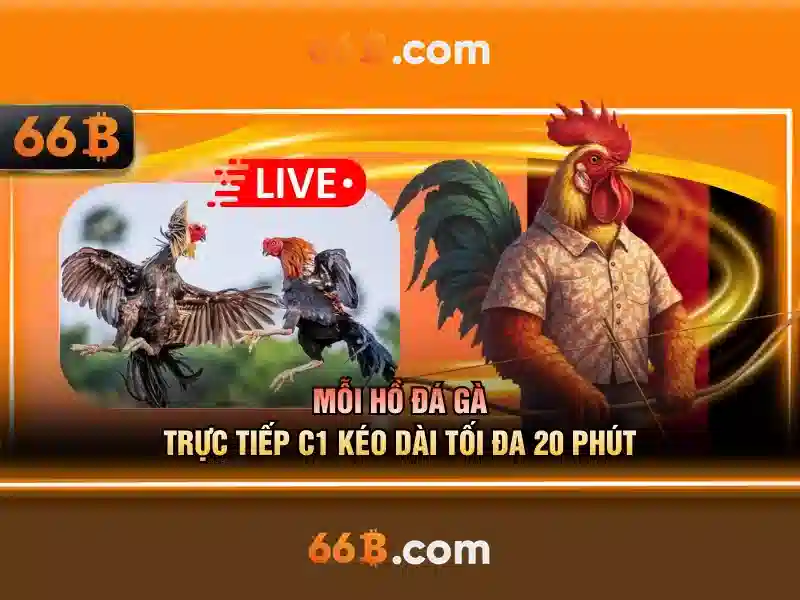 Quy Định Công Bằng Slot 66B