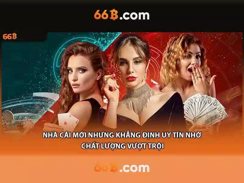 đăng ký 66B