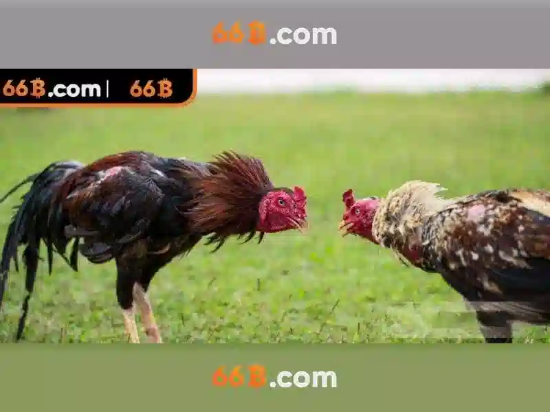 Trò Chơi SLOT 66B