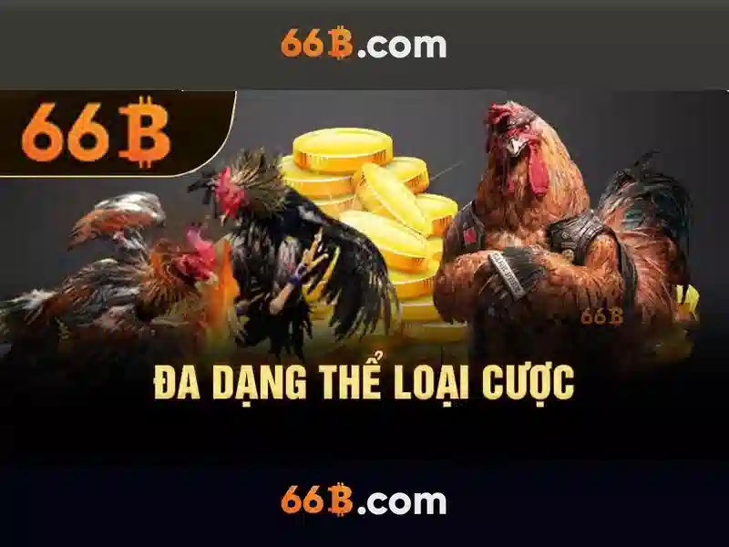 Đăng Ký 66B