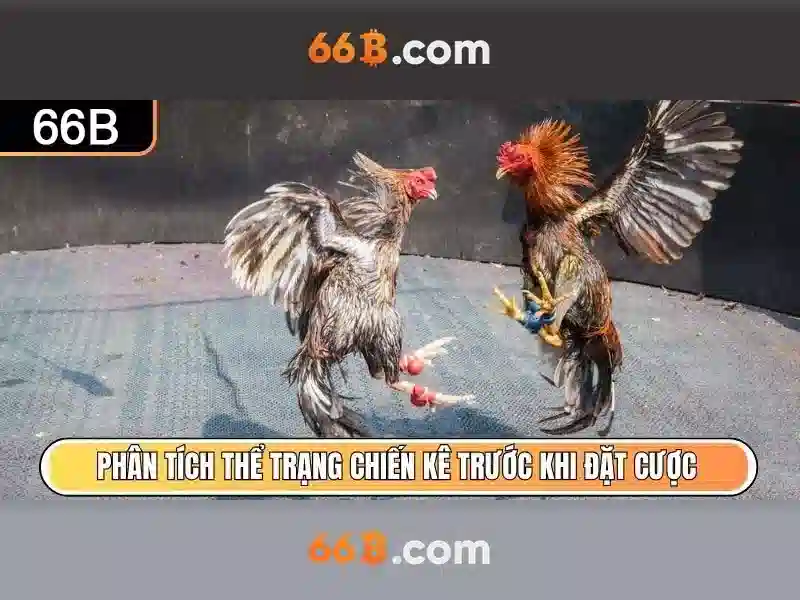 Trải Nghiệm Slot 66B