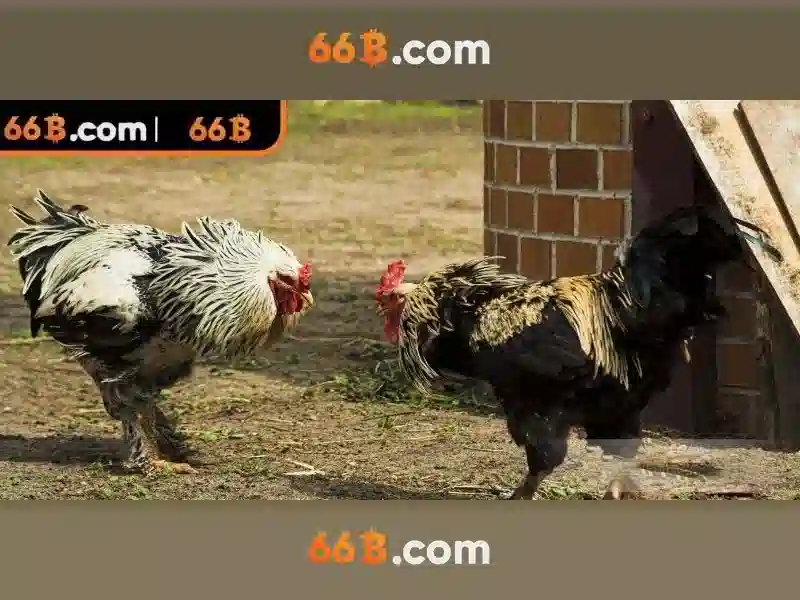 66B Slot – Trải Nghiệm Cực Sướng Cho Người Chơi