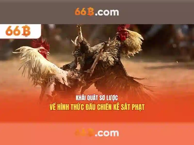 Tham Gia Cược Nhiều, Nhận Ngay Ngàn Tỷ Hàng Tháng