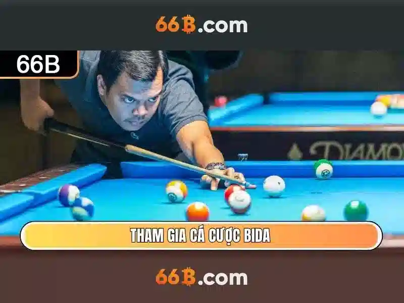 Chính sách bảo mật 66B