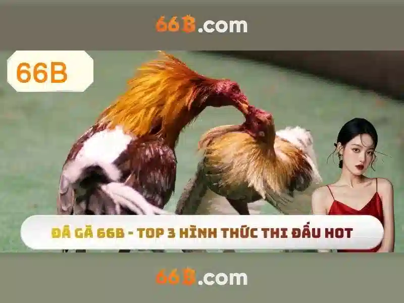Trải Nghiệm Slot Đỉnh Cao 66B