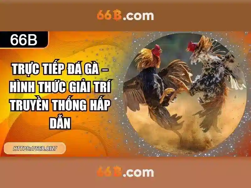 Review 66B Slot