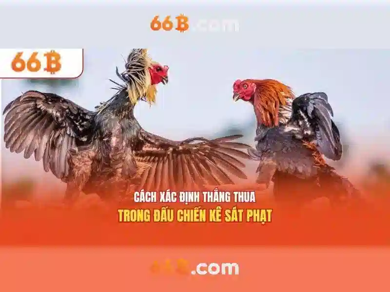 Tải Ứng Dụng 66B Cho iOS – Trải Nghiệm Chơi Slot Đỉnh Cao