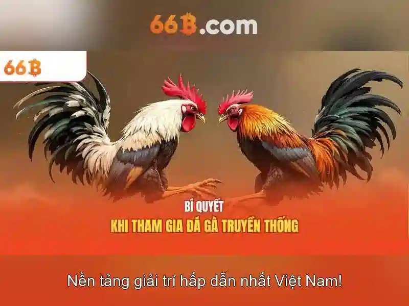 66B An Toàn Không