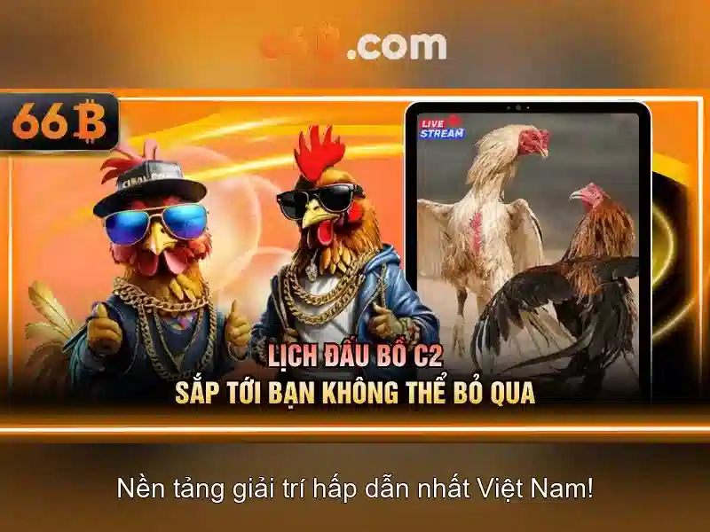 66b hoàn tiền