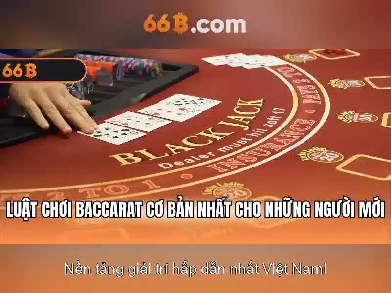 Các Hình Thức Liên Hệ 66B