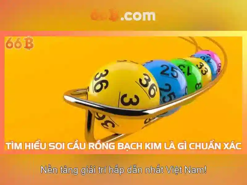 Chính sách khuyến mãi 66B