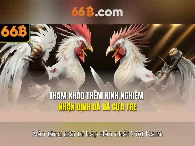 Trải Nghiệm Trò Chơi Slot Đa Dạng