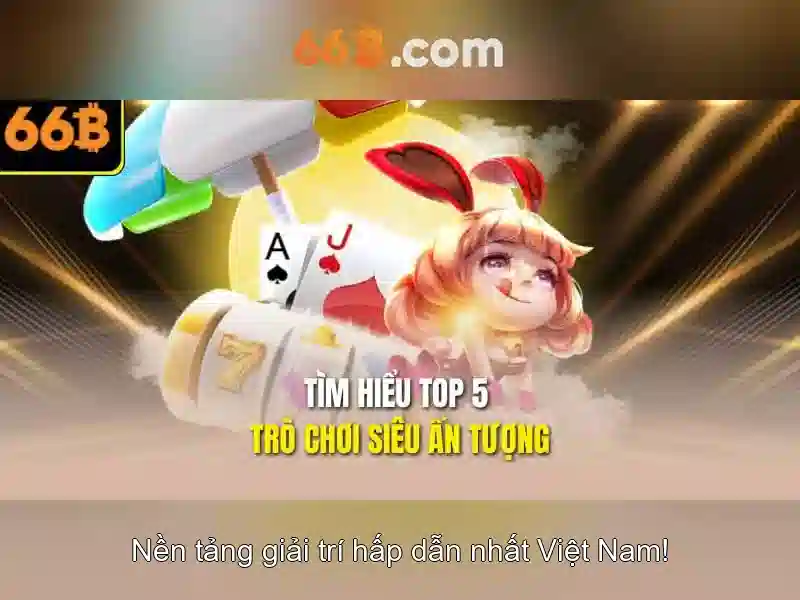 Hướng dẫn 66B