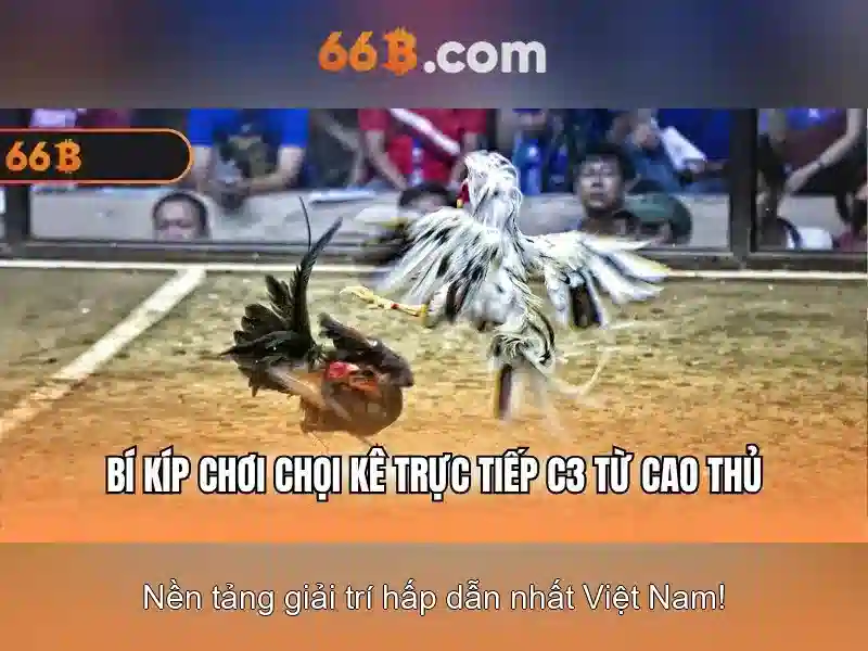 Trải Nghiệm Casino 66B Online