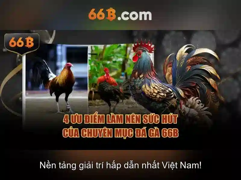 Cách Nạp Tiền 66B