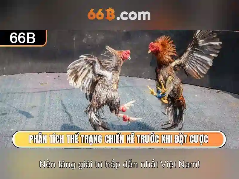 Đổi Mật Khẩu 66B – Bước Đầu Tiên Để Bảo Vệ Tài Khoản