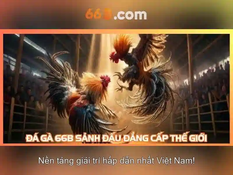 Cờ Tướng 66B