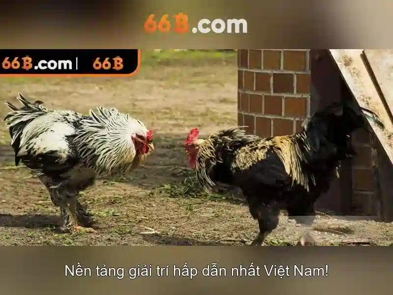 Khuyến Mãi Độc Quyền 2026