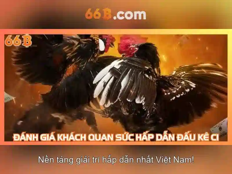 Tính năng nổi bật của 66B
