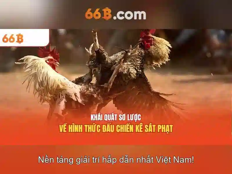 66b App - Ứng Dụng Slot 66B