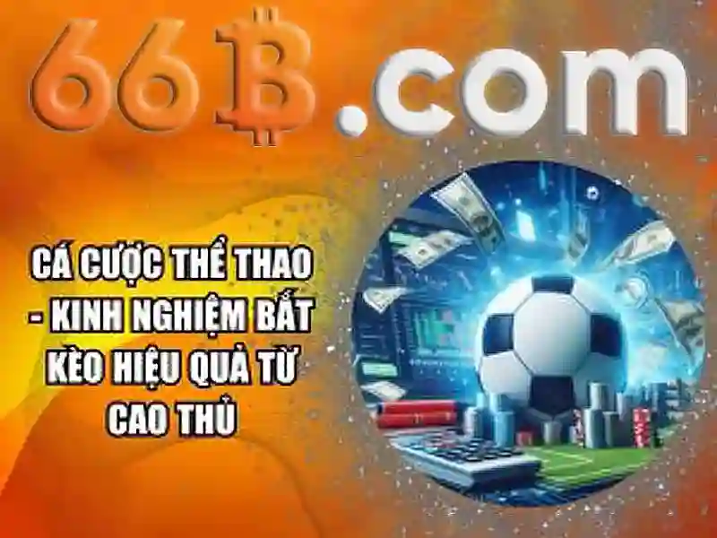 Chiến lược tiến lên 66B