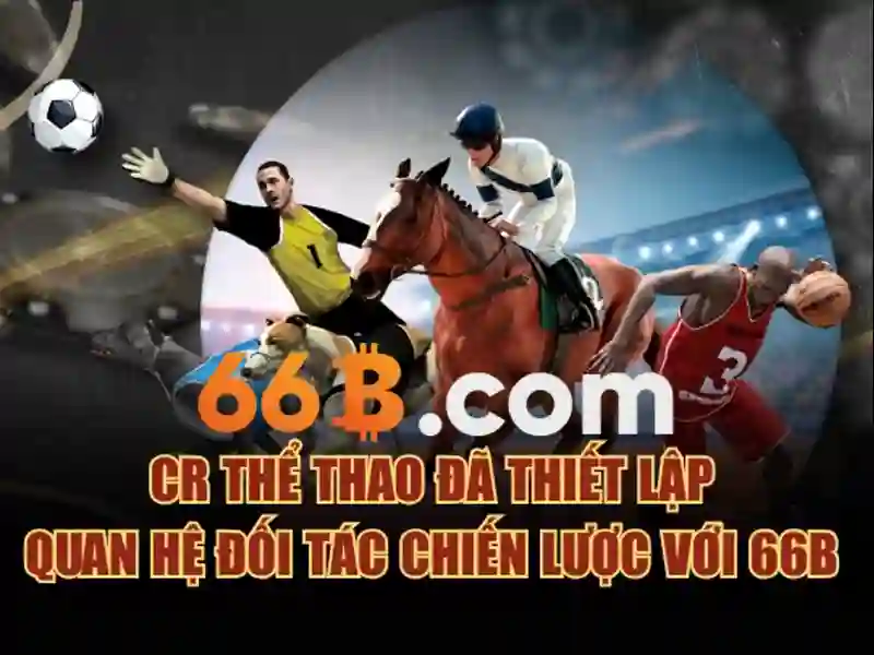 Tại Sao Nên Liên Hệ 66B