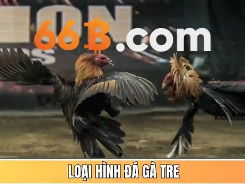 Cách Tham Gia Tài Xỉu 66B – Hướng Dẫn Chi Tiết