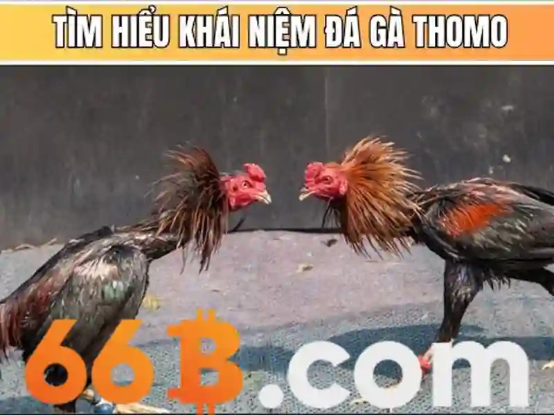 Trải nghiệm Slot đỉnh cao cùng 66B