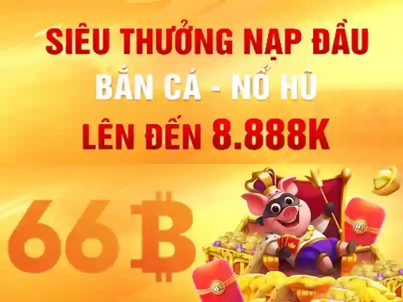 Tài Khoản 66B