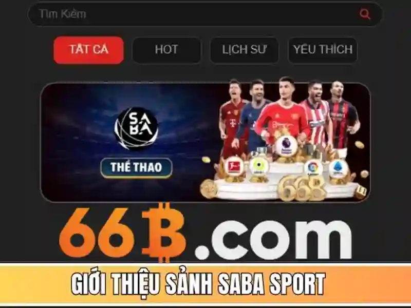 HỖ TRỢ 66B