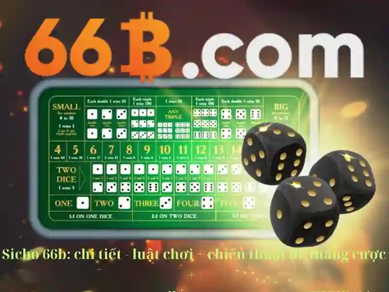 Đa Dạng Dịch Vụ 66B Chính Thức