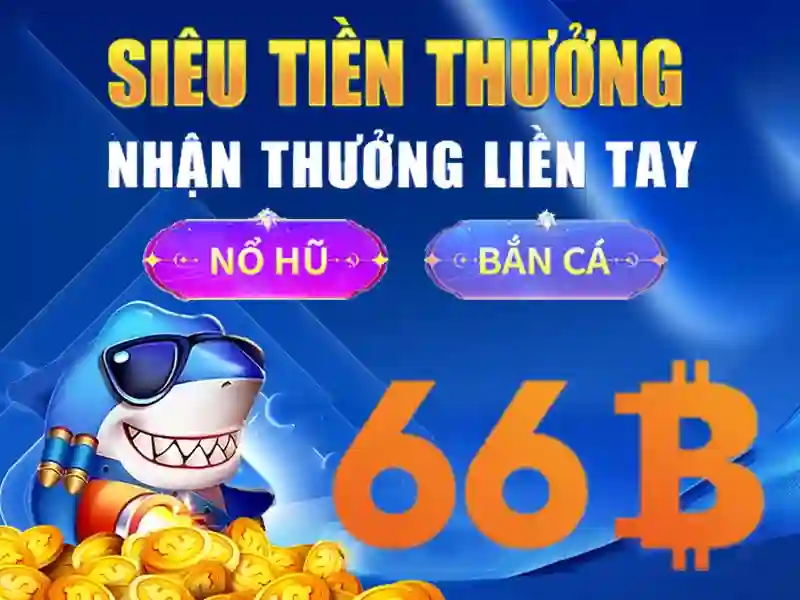 Giới Thiệu Về 66B Chính Thức
